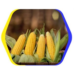 sweet corn