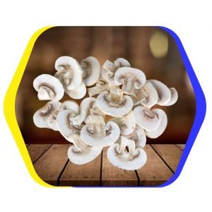 sliced mushroom